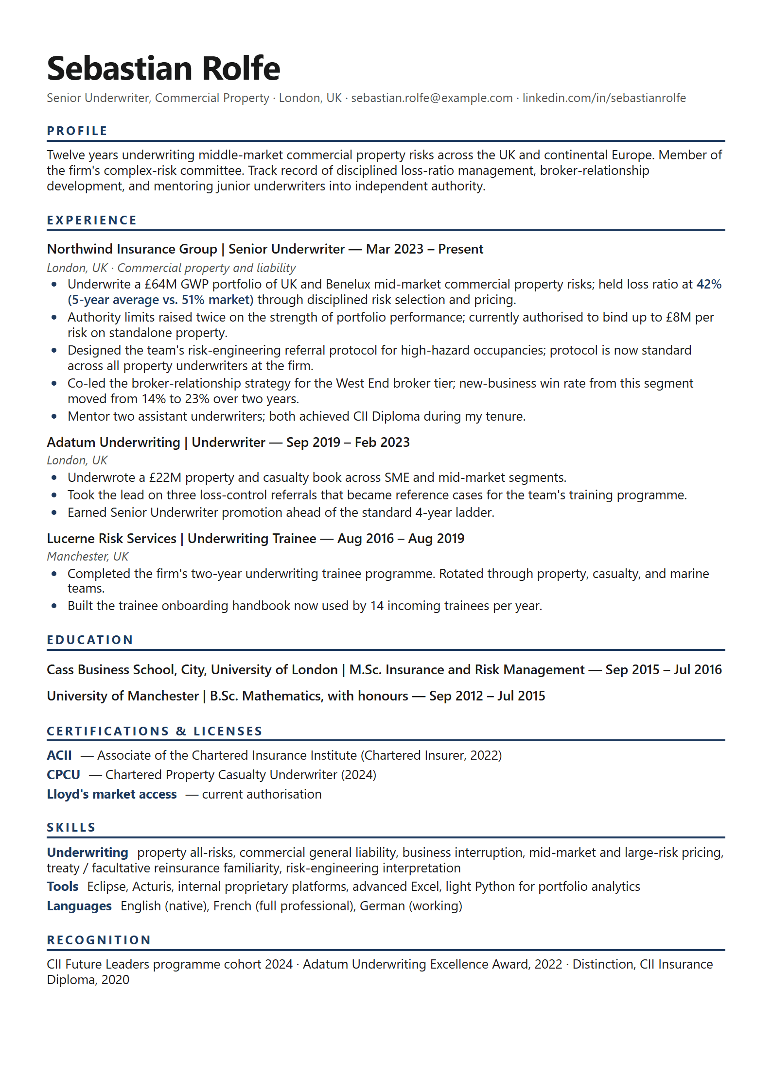 Surety resume template